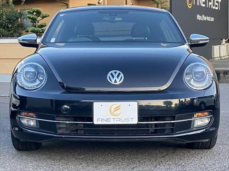 THE BEETLE