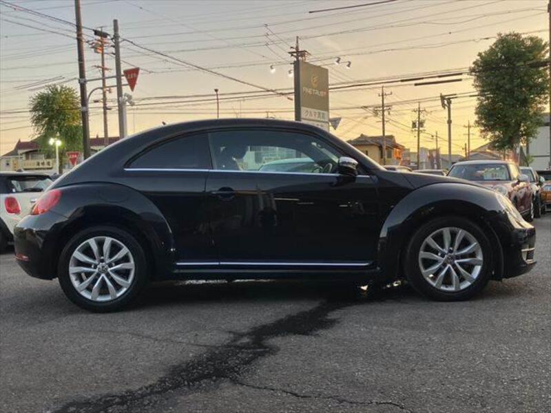 THE BEETLE