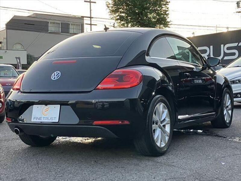 THE BEETLE