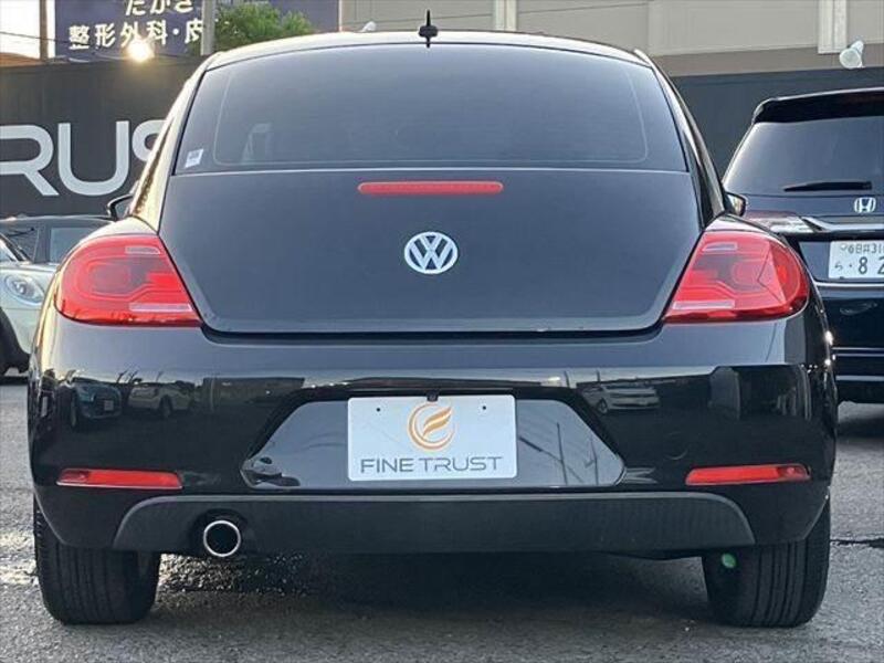 THE BEETLE
