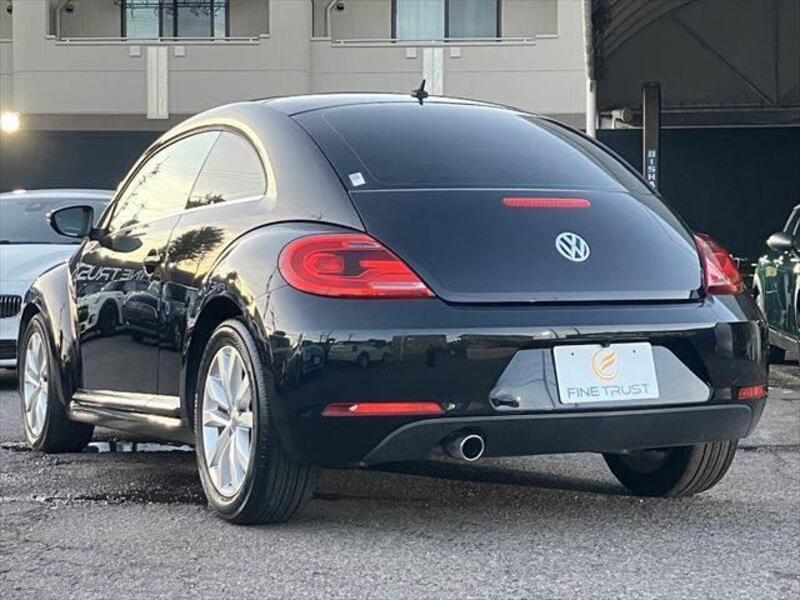 THE BEETLE