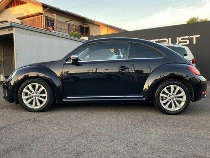 THE BEETLE
