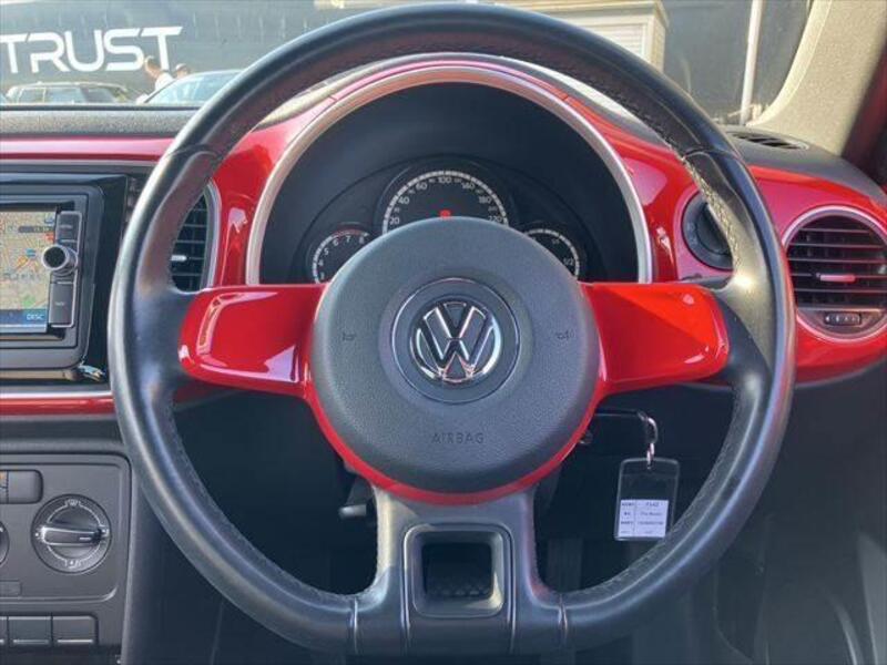 THE BEETLE