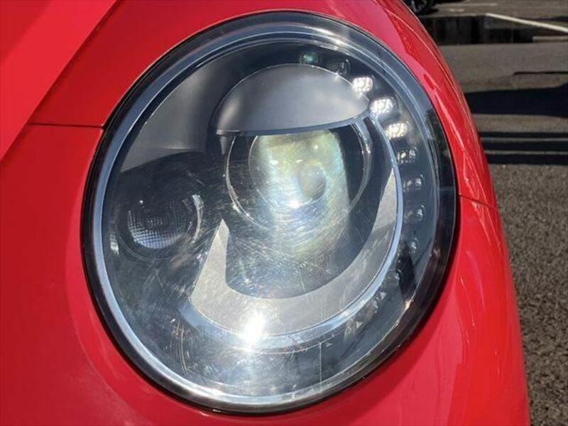 THE BEETLE