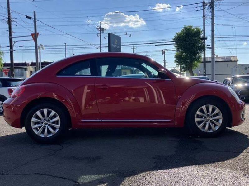 THE BEETLE