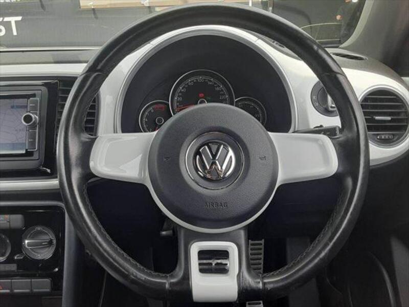 THE BEETLE