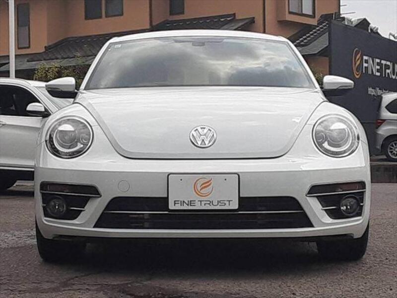 THE BEETLE