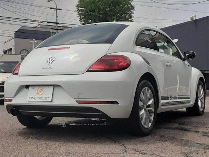 THE BEETLE