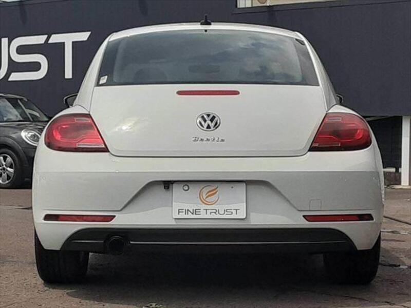 THE BEETLE