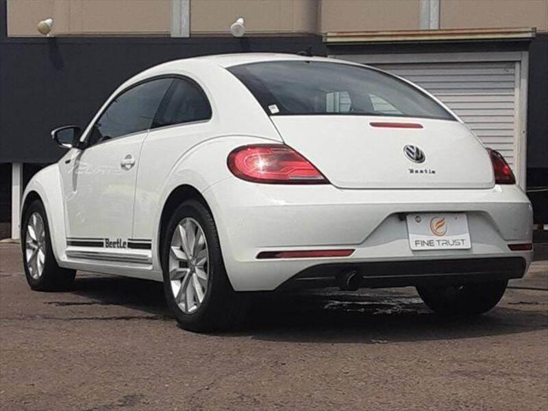 THE BEETLE