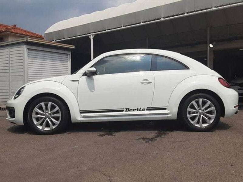 THE BEETLE