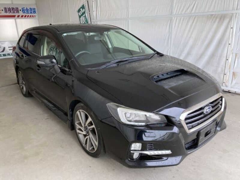 LEVORG-0