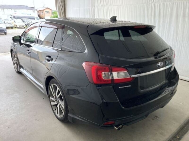 LEVORG