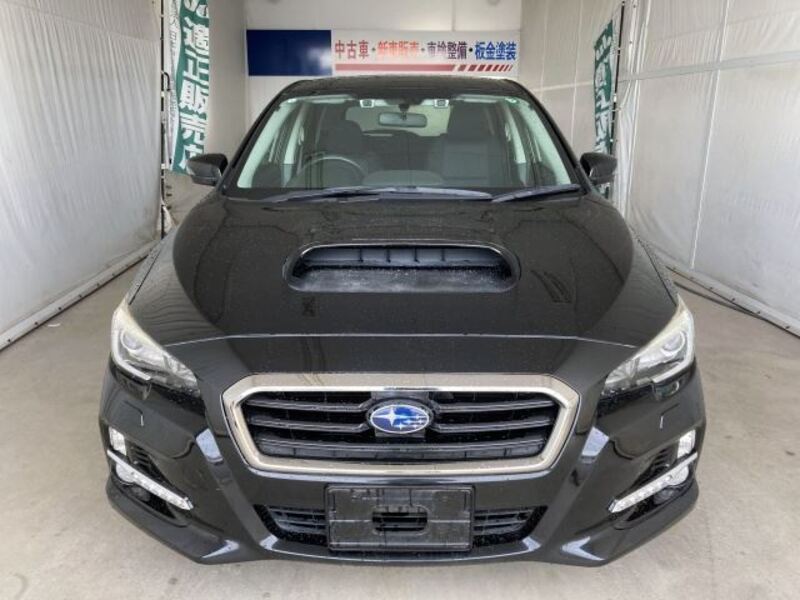 LEVORG