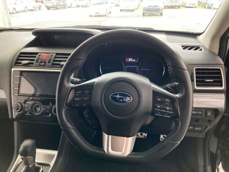 LEVORG