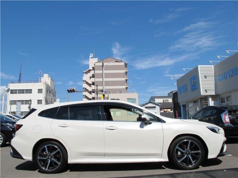 LEVORG