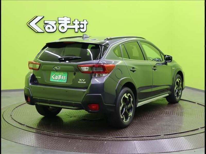 XV