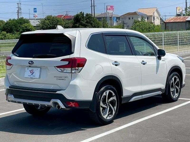 FORESTER