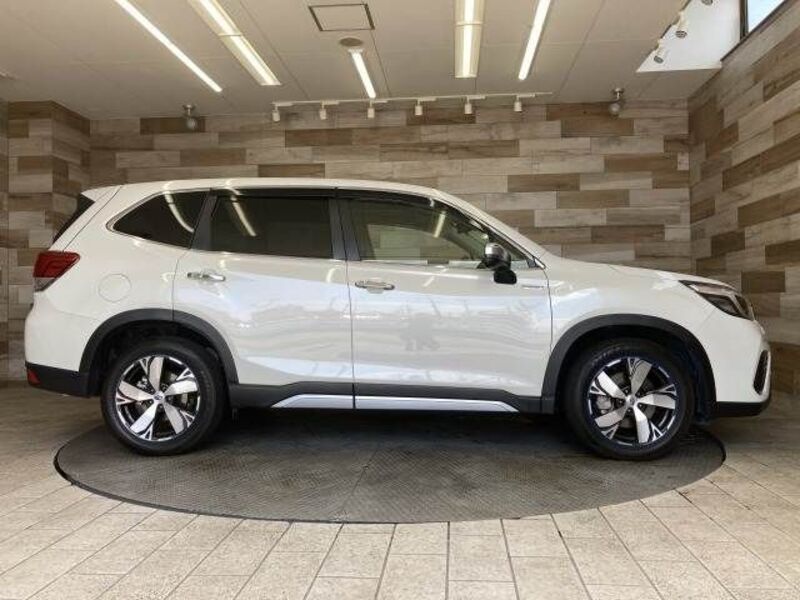 FORESTER