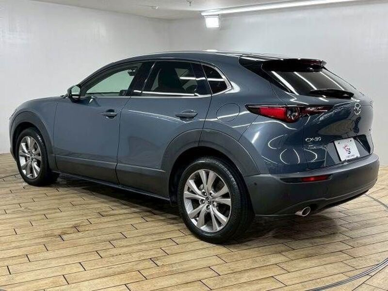 CX-30