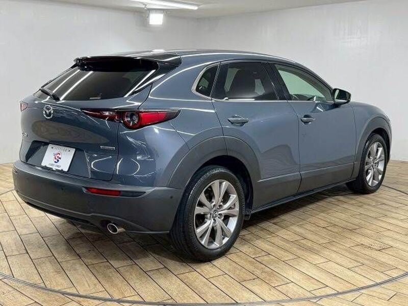 CX-30