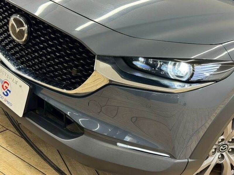 CX-30