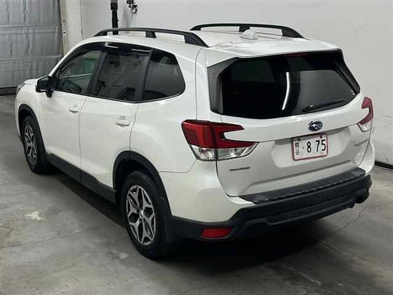 FORESTER
