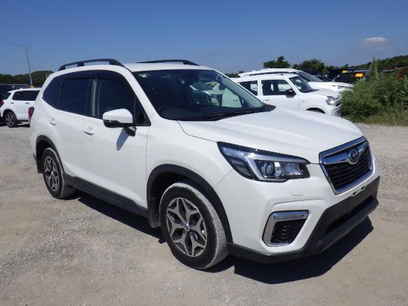 FORESTER-0