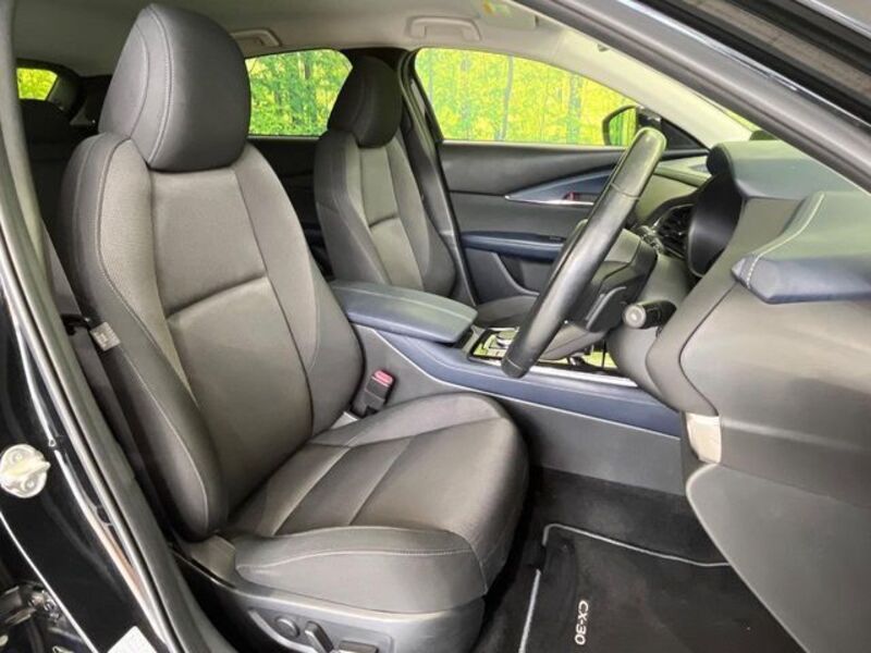 CX-30
