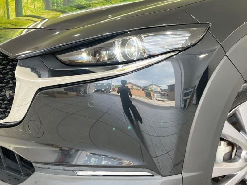 CX-30