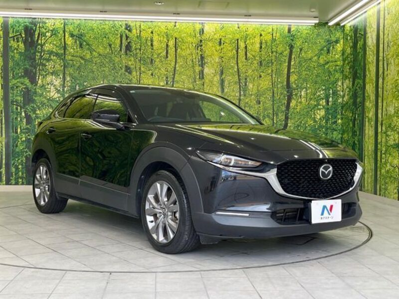 CX-30