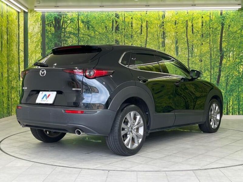 CX-30