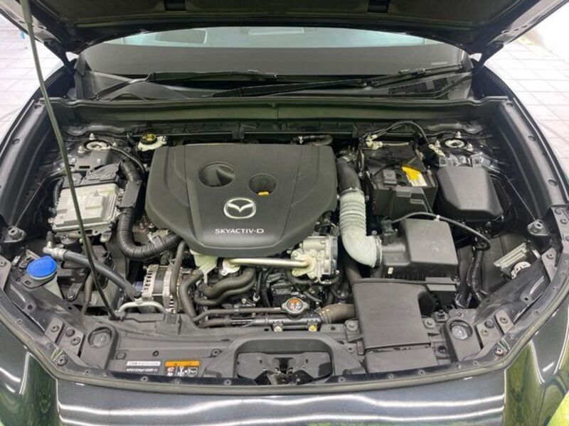 CX-30