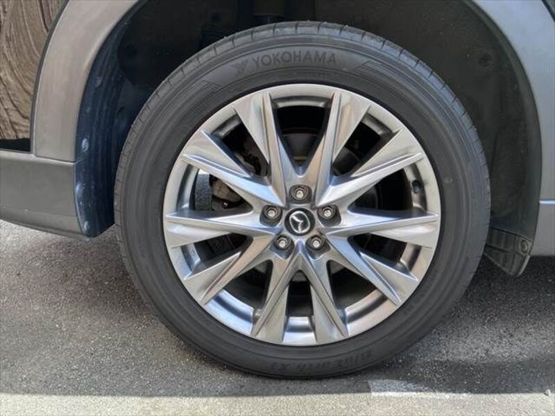 CX-8