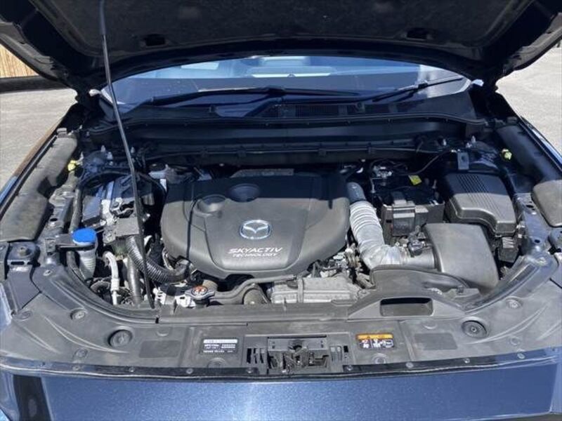 CX-8