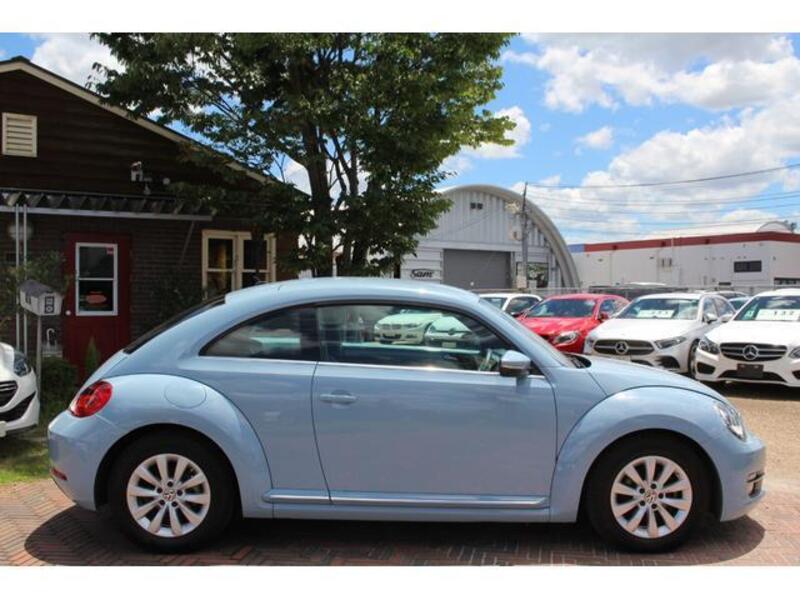 THE BEETLE