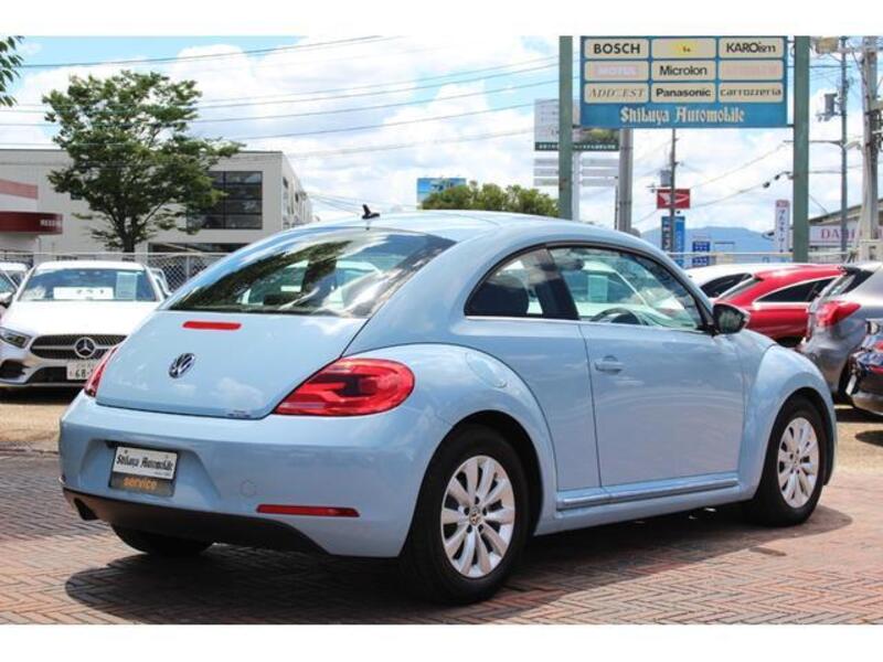 THE BEETLE