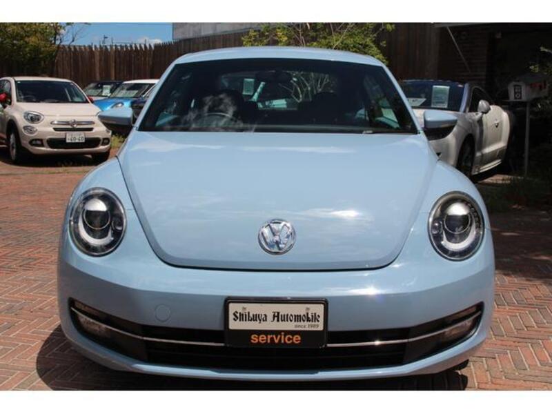 THE BEETLE