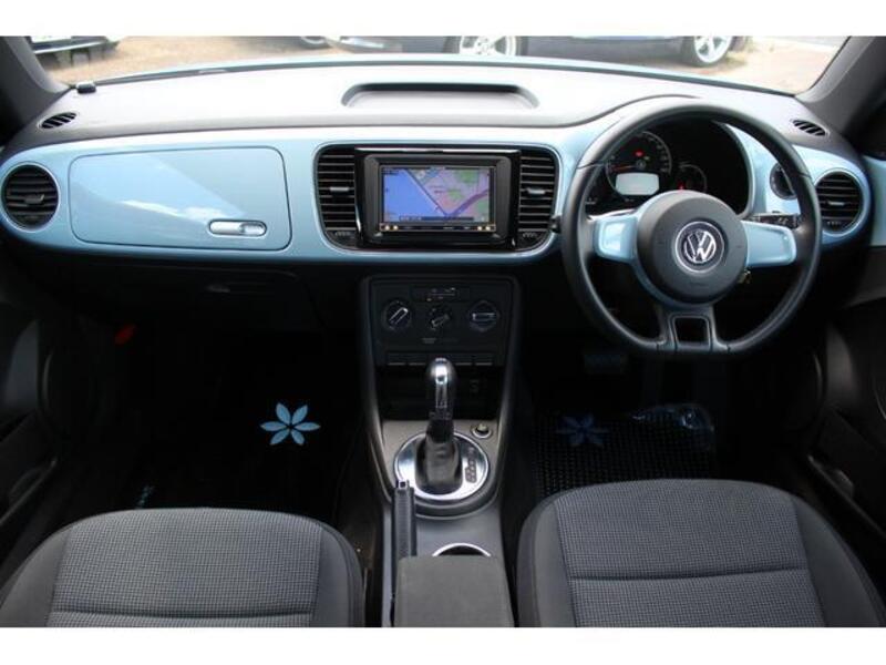 THE BEETLE