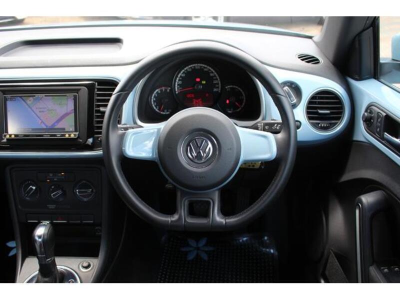 THE BEETLE