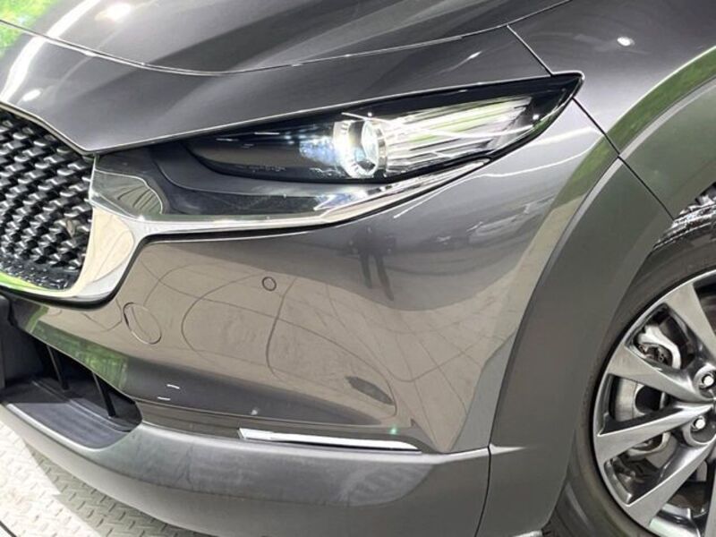 CX-30