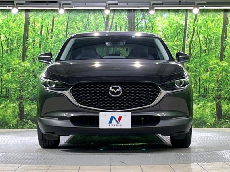 CX-30
