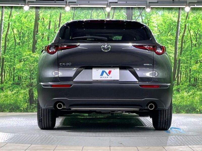 CX-30