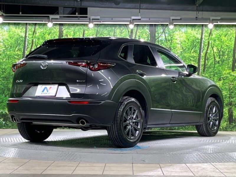 CX-30