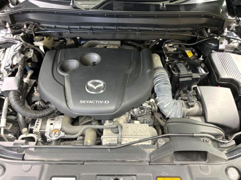 CX-8