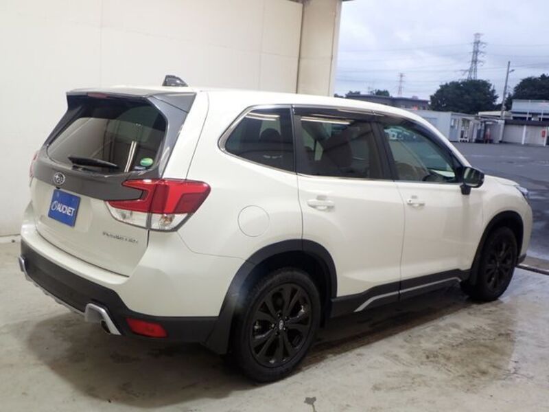 FORESTER