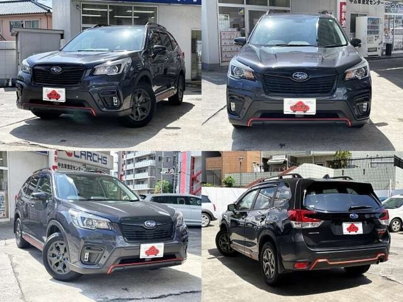 FORESTER