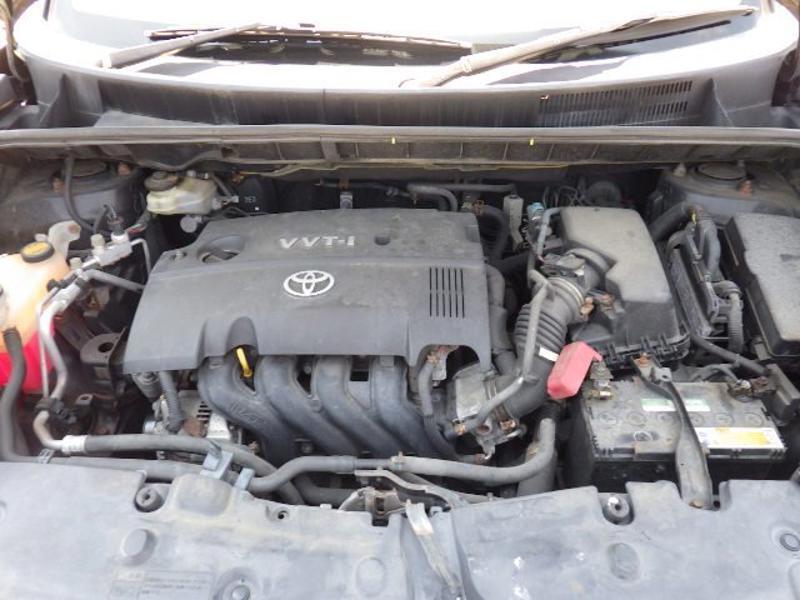 COROLLA RUMION