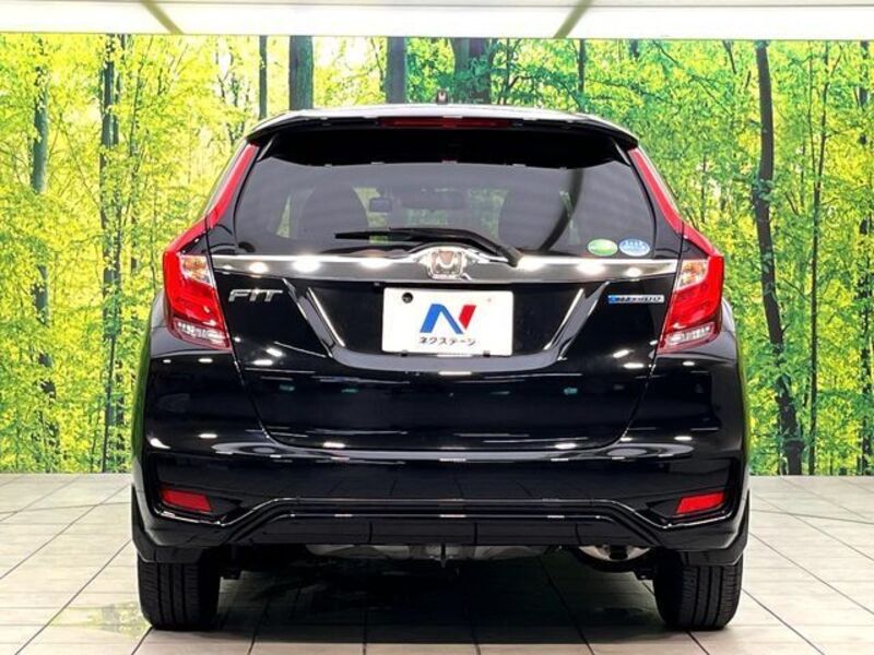 FIT HYBRID