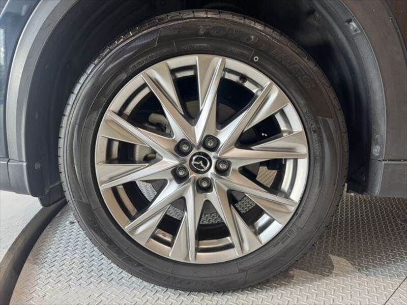 CX-8